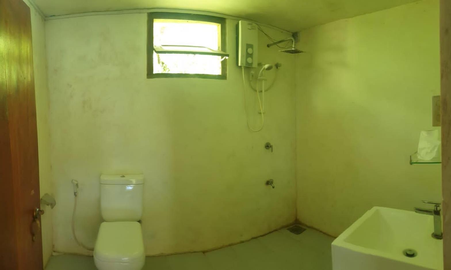 دينيايا Sinharaja Hostel 114 المظهر الخارجي الصورة