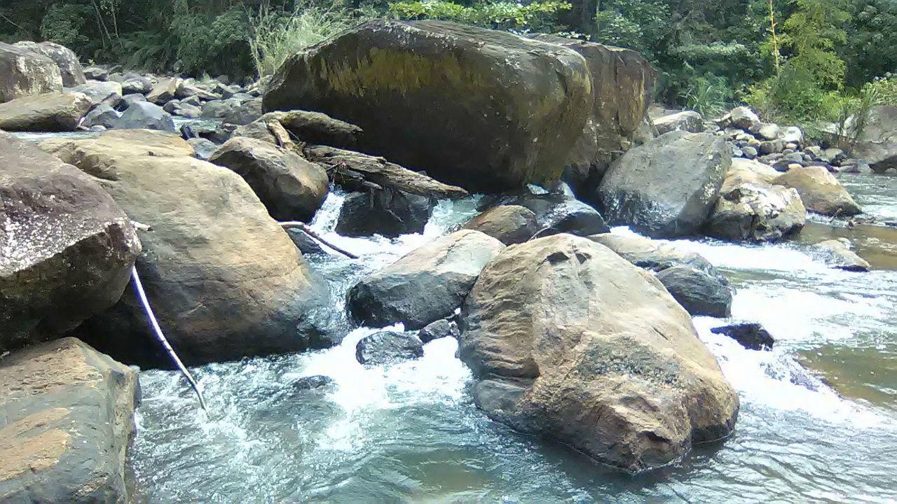 دينيايا Sinharaja Hostel 114 المظهر الخارجي الصورة